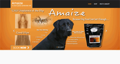 Desktop Screenshot of amaize.com