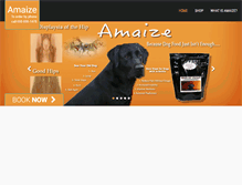 Tablet Screenshot of amaize.com